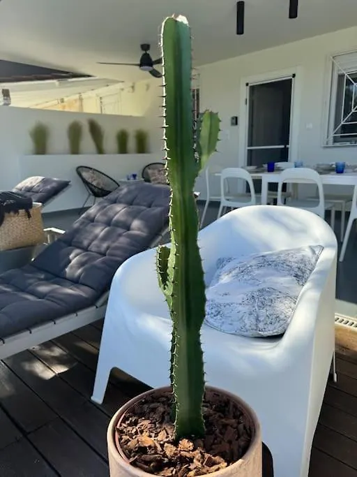 Villa Olion Afytos Holiday home